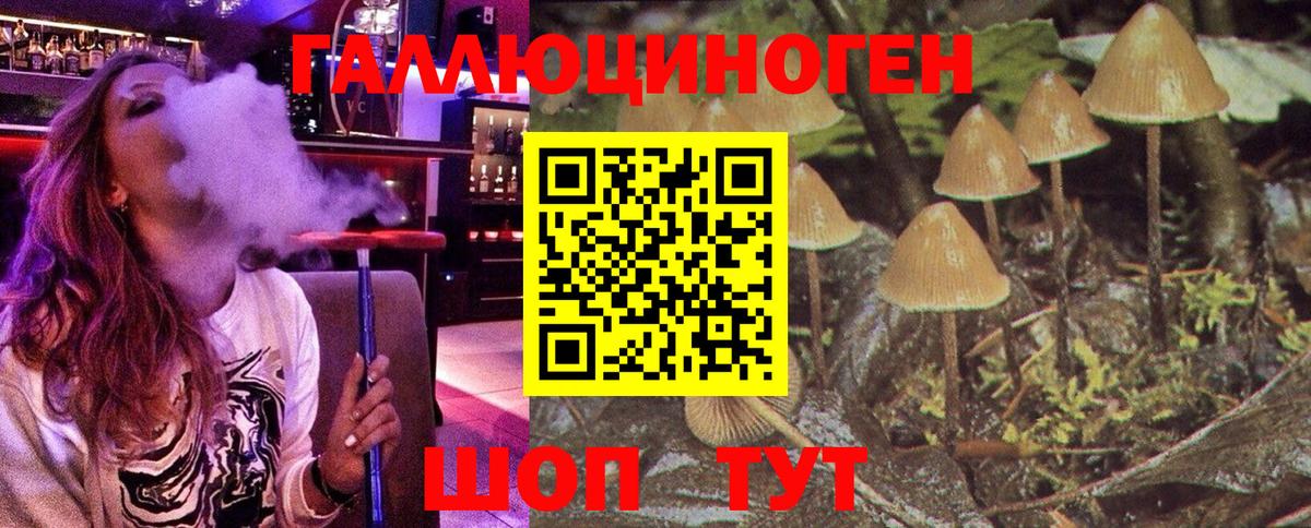 Псилоцибиновые грибы MAGIC MUSHROOMS Гагарин
